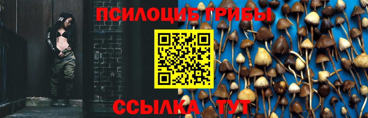 где можно купить   Псилоцибиновые грибы ЛСД  Вход с VPN  Санкт-Петербург 
